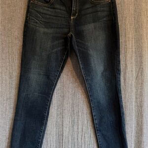 Arizona Jean Company Dark Blue Skinny Jeans